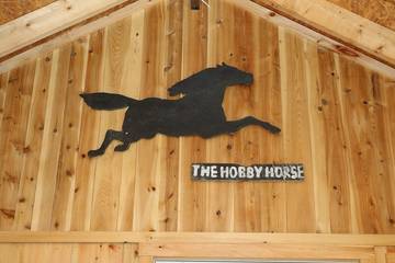 Cottage for 4 Guests in Surry (ME), Maine, Picture 1