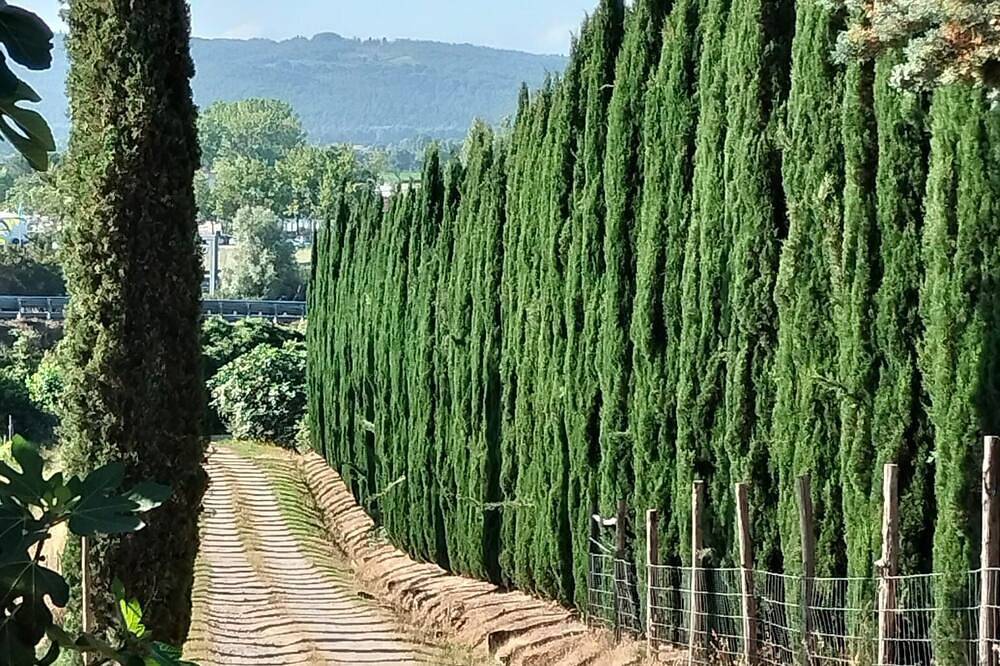 Stay in the countryside a stone's throw from the spa in Rapolano Terme, Siena Provinz