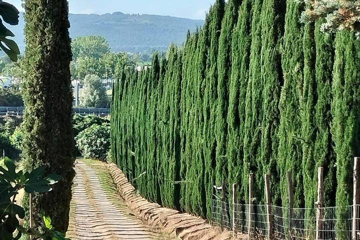 Agriturismo für 8 Personen, mit Haustier - 1