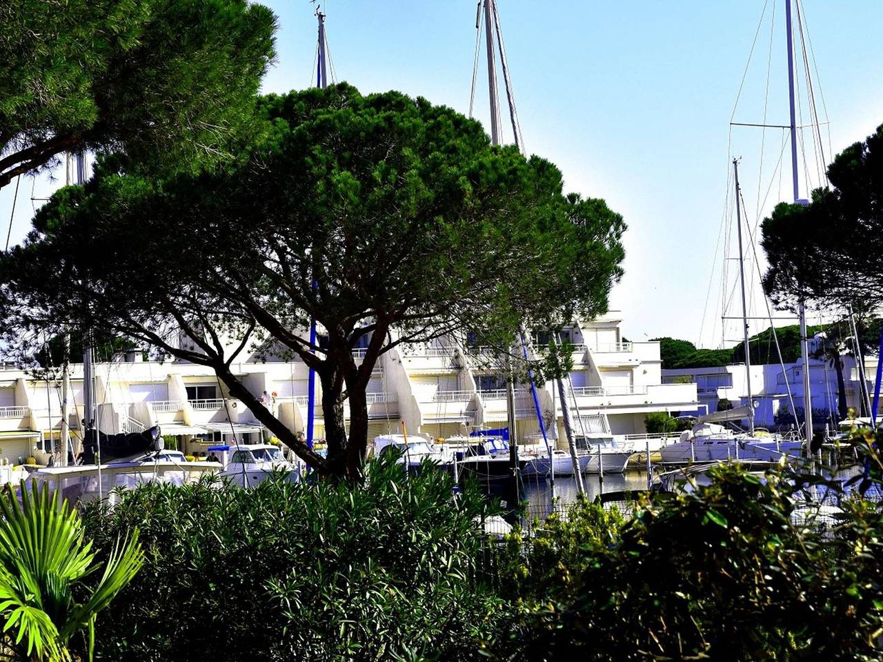 Studio entier, Studio-Cabine 4 Pers, Terrasse, Jardin, Parking, Animaux admis in Port Camargue, Le Grau-du-Roi