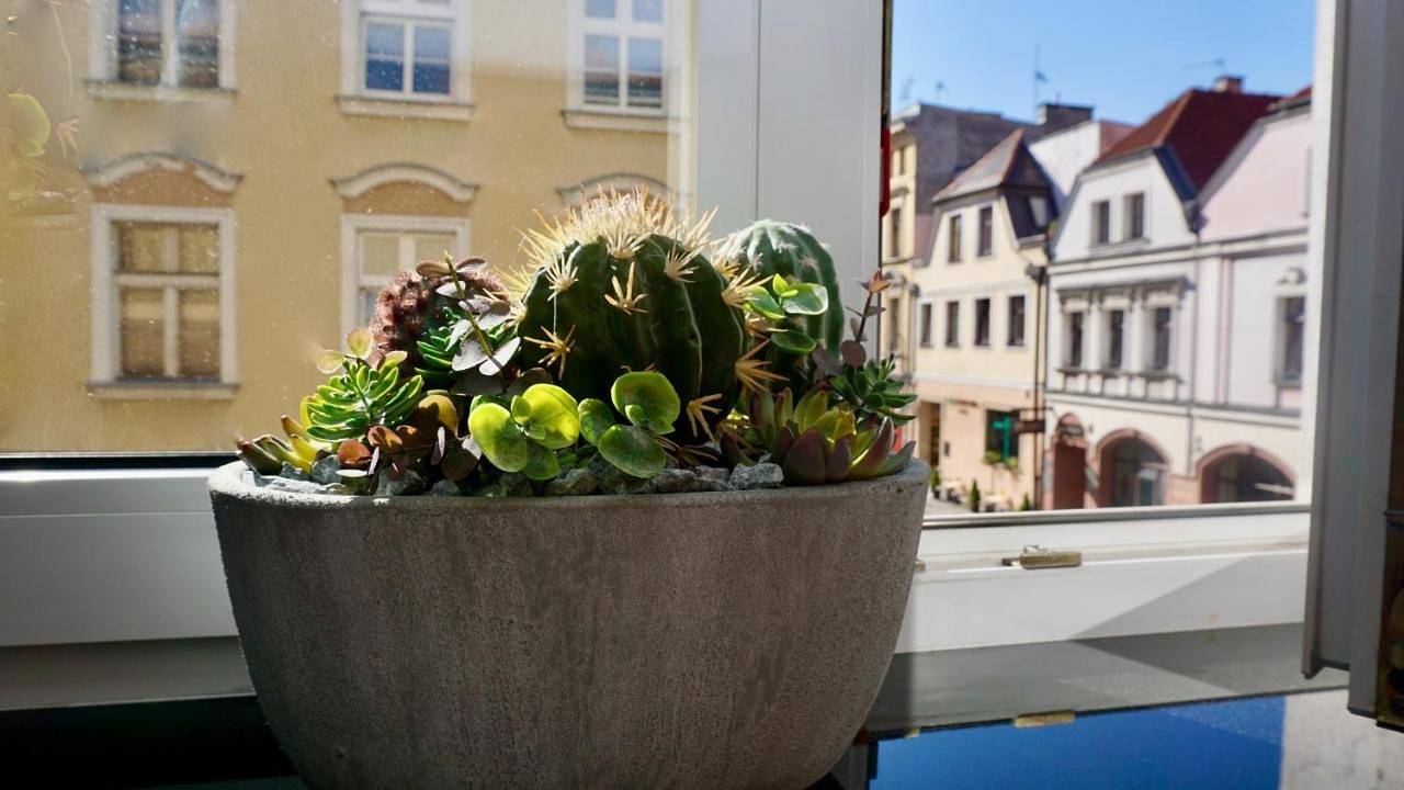 Ganze Wohnung, Two-Bedroom Apartment in Oppeln, Oppeln und Umgebung