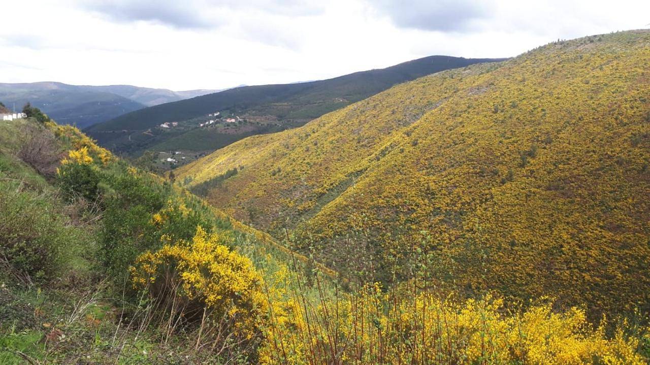 Apartamento inteiro, Cantinho de Xisto in Vide, Seia