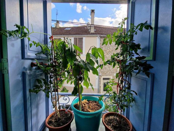 Gîte pour 2 personnes, avec terrasse à Moret-sur-Loing - 3