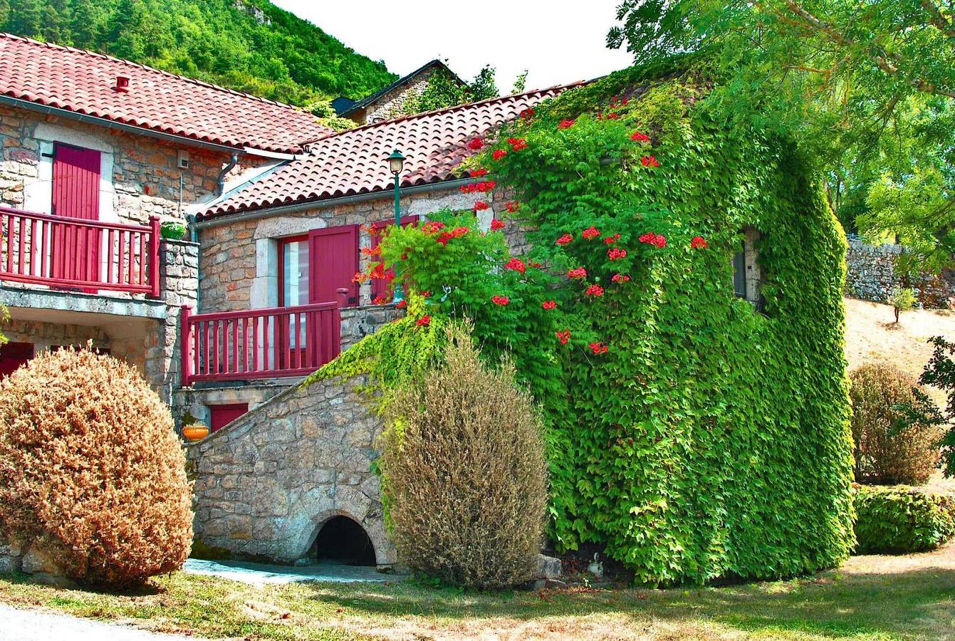 La Ferme de Quiers - Chambres d'hôtes - Rose in Compeyre, Parc naturel régional des Grands Causses