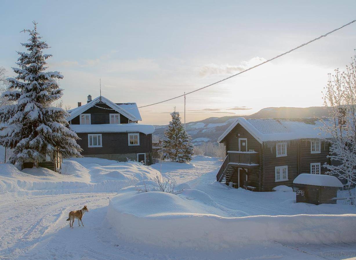 Double or Twin Room with Bathroom in Hemsedal (gemeente)