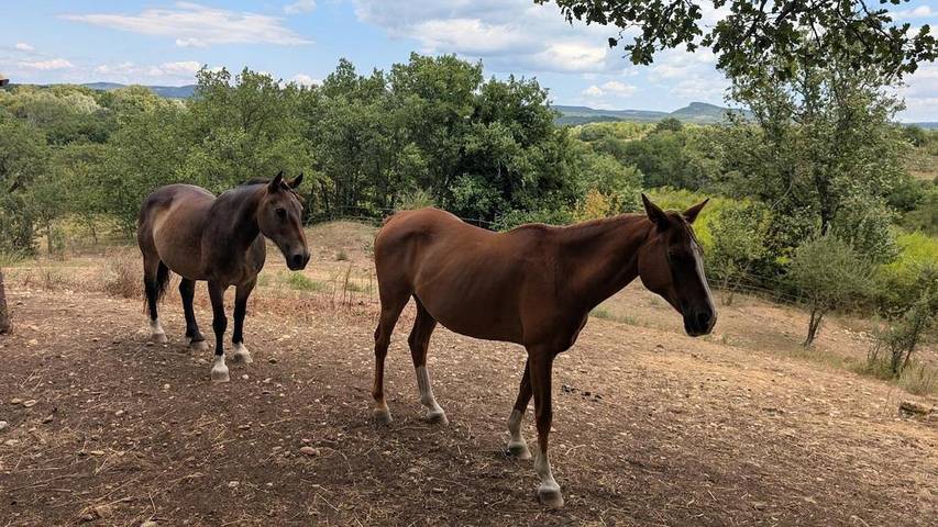 Location de vacances pour 15 personnes, avec jardin ainsi que vue et piscine à Rousson - 3