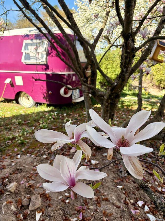 Salève Glamping in Archamps, Région de Saint-Julien-en-Genevois