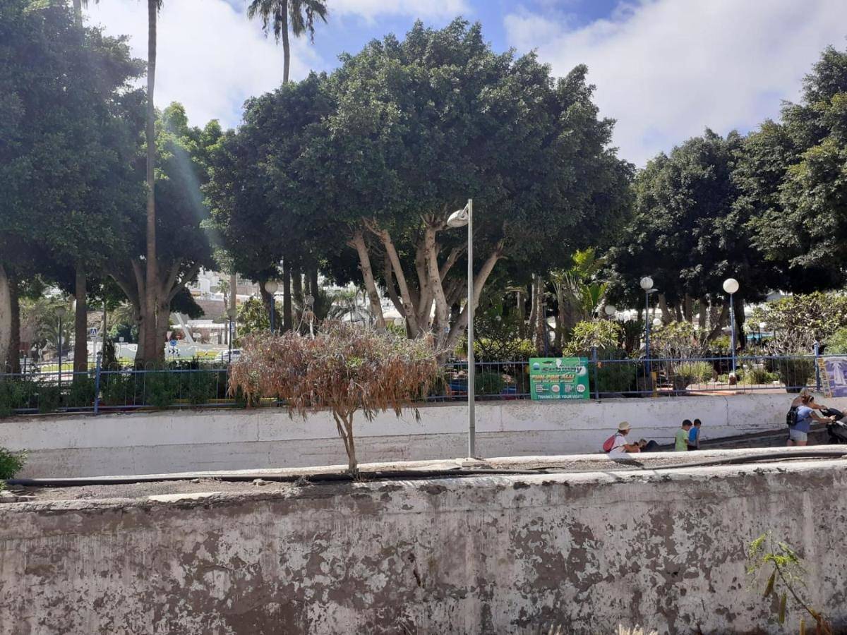 Niza Apartamentos in Puerto Rico (Gran Canaria), Mogán