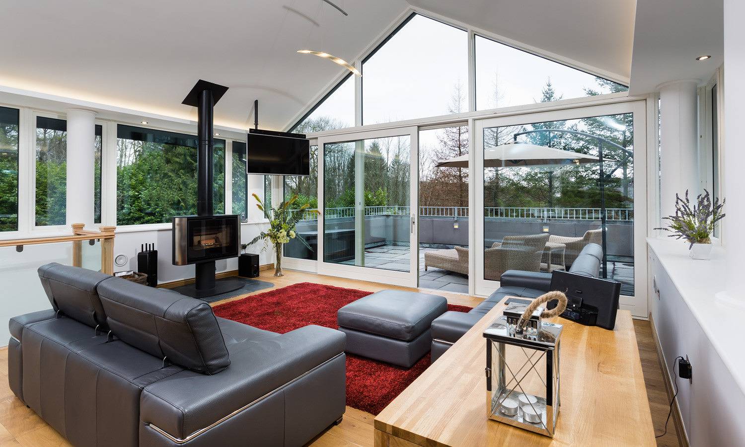 Tall Trees in Lake District