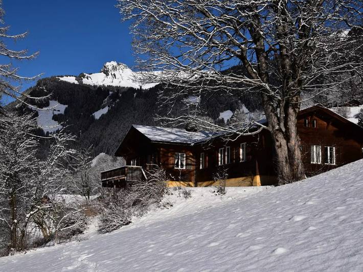 Villa pour 9 personnes, avec jardin en Suisse - 4
