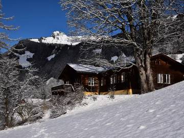 Villa für 9 Personen in Grindelwald, Kanton Bern, Bild 3