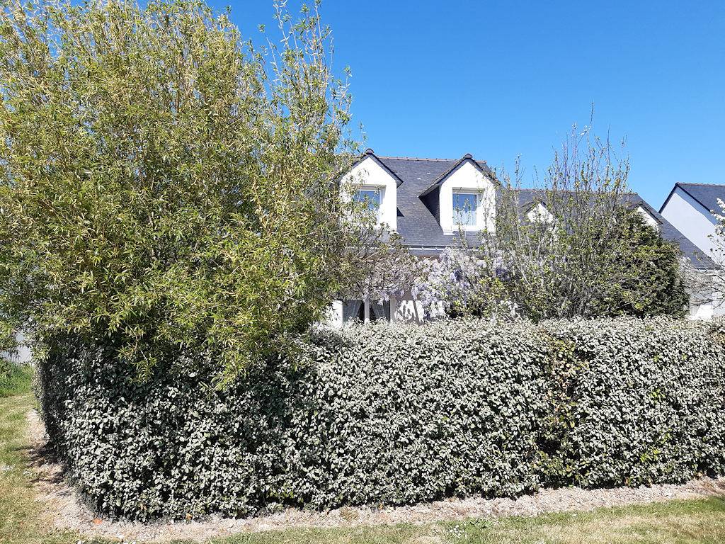 Maison bord de mer : Sarzeau, Presqu'île de Rhuys in Sarzeau, Côte des Mégalithes