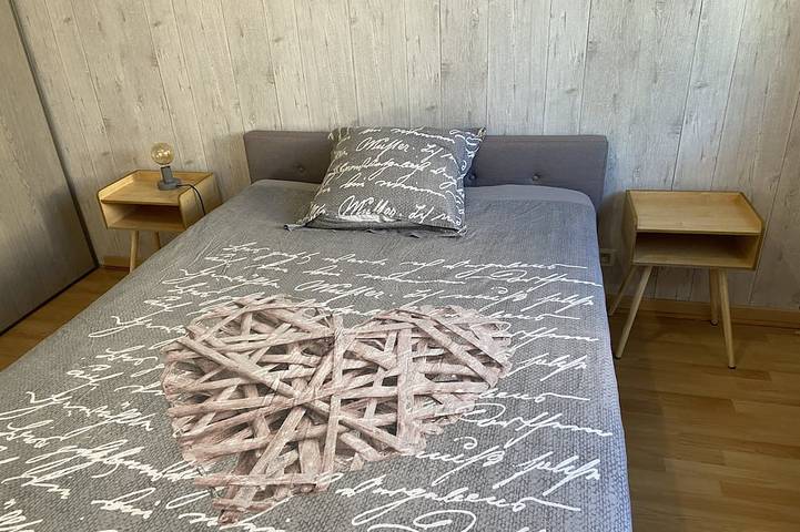 Location de vacances pour 8 personnes, avec terrasse et jardin à Anneyron - 3