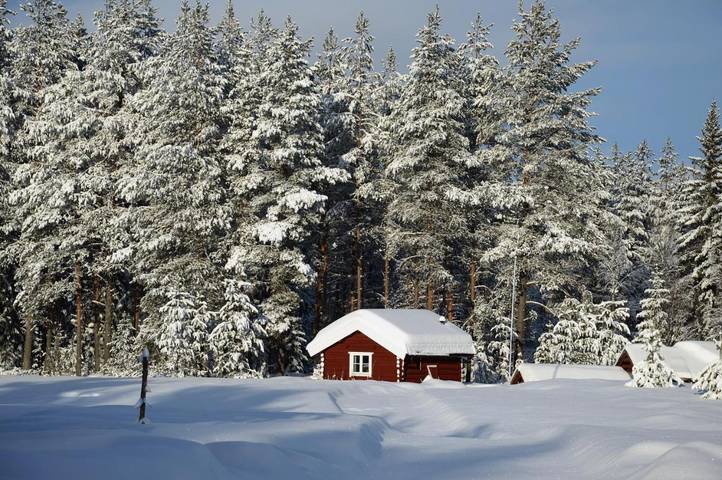 Vakantiewoning voor 3 personen, met uitzicht in Trysil