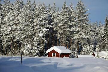 Gîte pour 3 personnes, avec vue dans Trysil