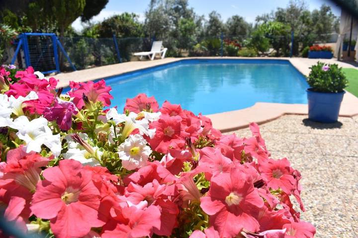 Casa rural para 5 personas, con jardín además de piscina y vistas, Se admiten mascotas en Pozo Alcón