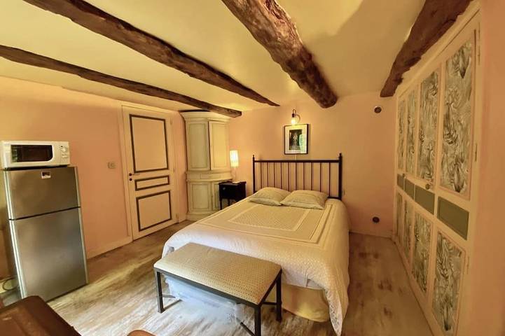 Location de vacances pour 12 personnes, avec jardin et sauna, animaux acceptés à Mauzens-et-Miremont - 4