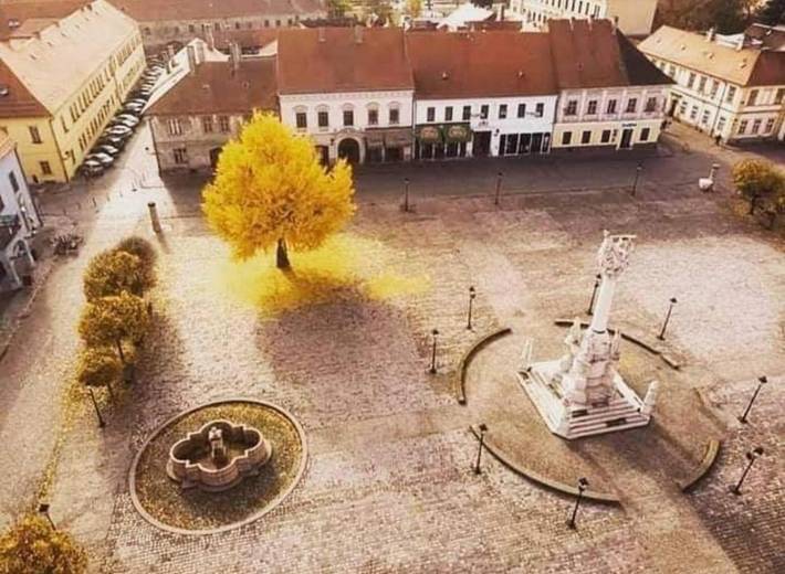 Gîte pour 15 personnes, avec vue et jardin, animaux acceptés à Osijek - 3