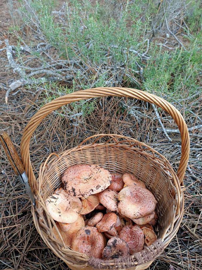 Casa rural para 3 personas, con terraza y vistas en Provincia de Cuenca - 2
