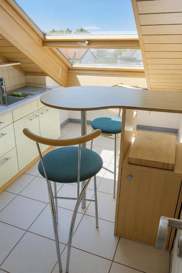 Gîte pour 11 personnes, avec terrasse, animaux acceptés à Kehl - 2