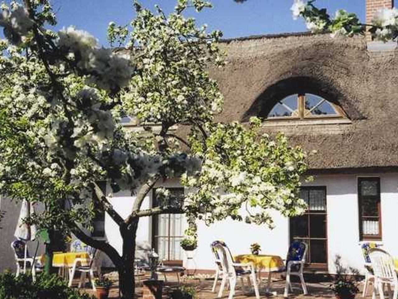 Ganze Wohnung, Ferienreeddachhaus Issy Krause in Karlshagen, Usedomer Norden