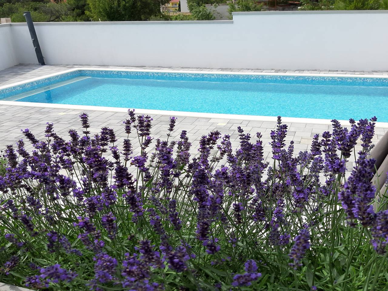 Ganze Wohnung, Ferienwohnung für 4 Personen mit Pool in Starigrad, Zadar