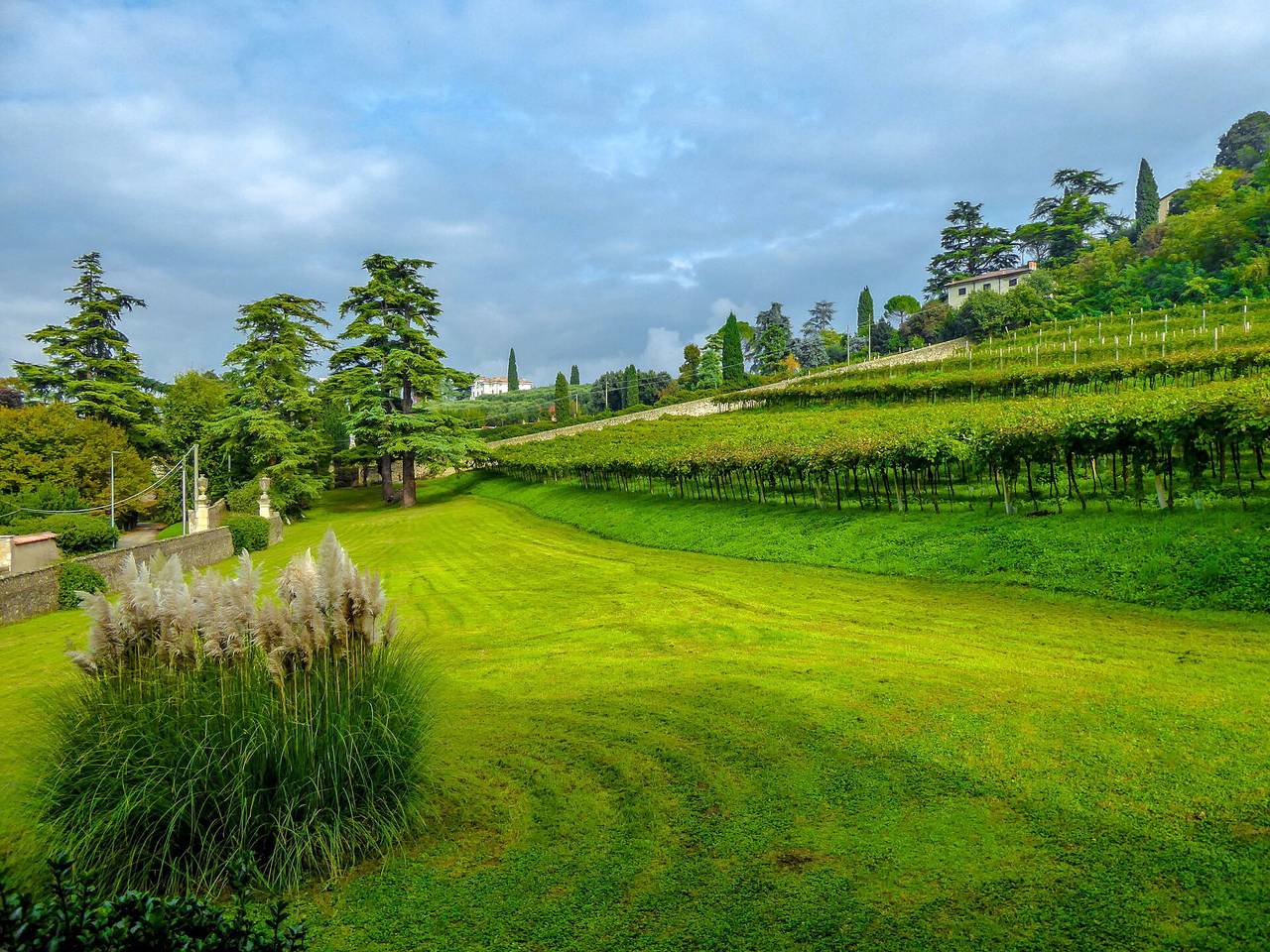 Entire apartment, Il Vigneto, Verona, Pool, Wifi in Colognola ai Colli, Verona Province