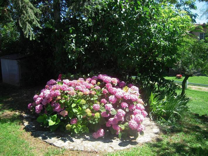 Location de vacances pour 8 personnes, avec vue ainsi que piscine et jardin à Saint-Georges-de-Luzençon - 2