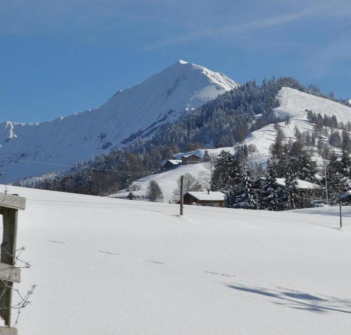 Gîte pour 4 personnes, avec jardin et vue à Aeschi bei Spiez - 2