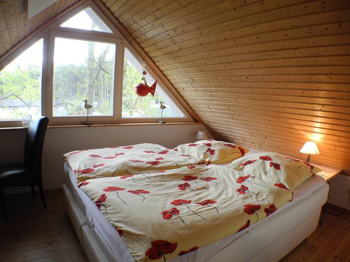 Ferienhaus für 4 Personen, mit Sauna und Whirlpool, mit Haustier in Mönchgut-Granitz - 4