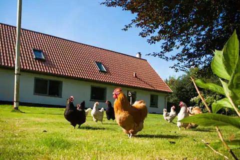 BnB für 6 Personen, mit Garten und Ausblick sowie Terrasse in Dänemark