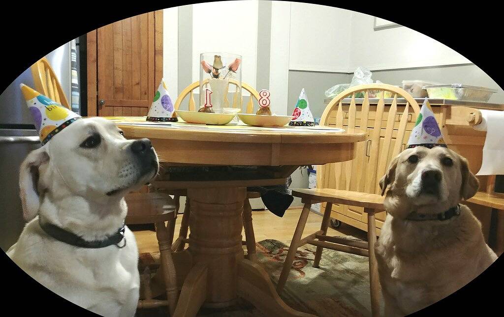 Private Cottage 100 Fuß vom Boardwalk / Strand in Toms River, Ocean County