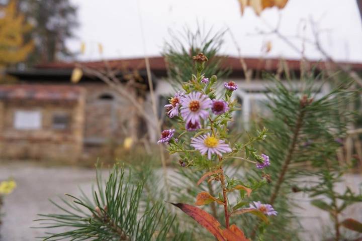 Gîte pour 2 personnes, avec jardin à Weißwasser (Oberlausitz) - 2