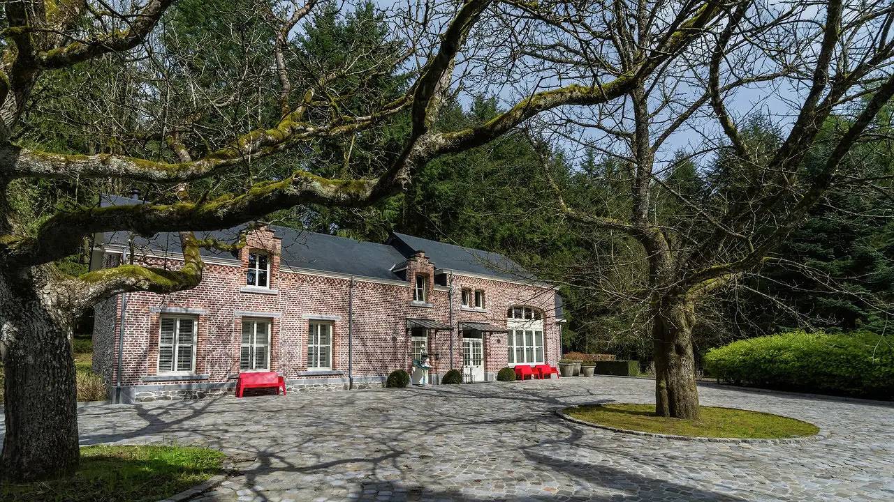 Ferienhaus für 18 Personen (540 m²) in Gedinne in Gedinne, Region Namur