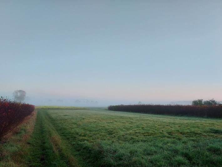 Bauernhof für 4 Personen, mit Garten und Terrasse, mit Haustier im Spreewald - 3