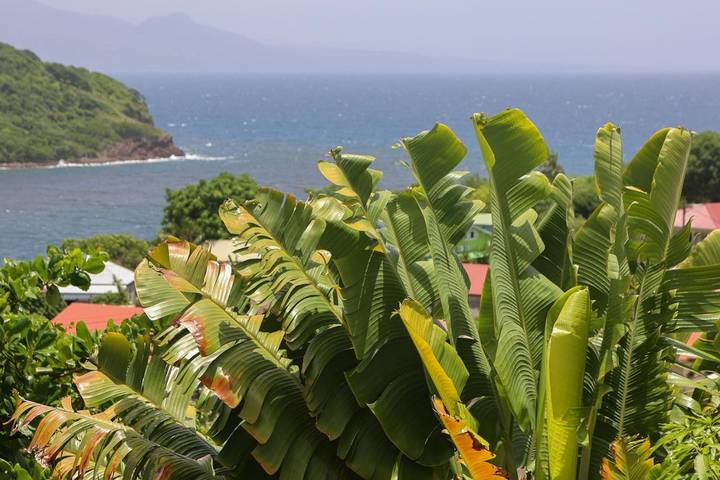 Location de vacances pour 4 personnes, avec jardin et vue à Terre-de-Bas - 3
