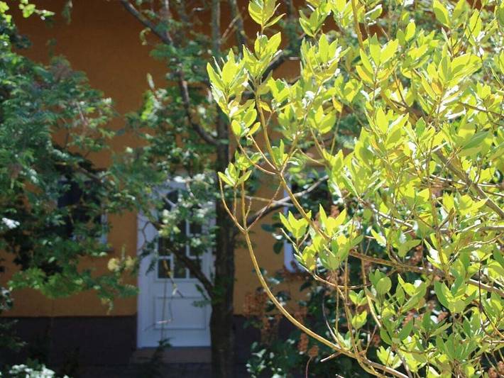 Ferienhaus für 2 Personen, mit Terrasse, mit Haustier in Rheinhessen