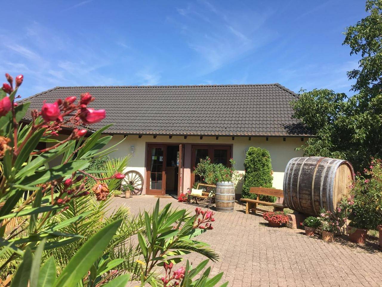 Ganze Wohnung, Apartment with Garden View in Hattenheim, Eltville am Rhein