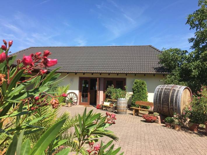 Ferienwohnung für 3 Personen, mit Balkon und Terrasse sowie Ausblick in Eltville am Rhein