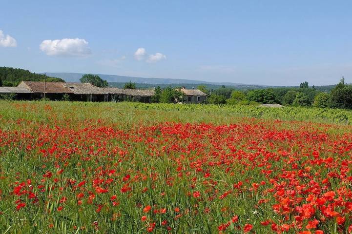 Location de vacances pour 2 personnes, avec jardin et piscine ainsi que terrasse et vue à Lioux - 3