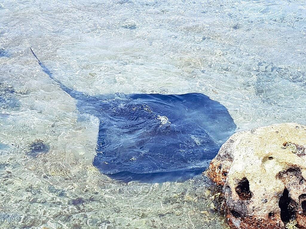 Sea & Sand Hütten - der Sand Cottage Currarong in Currarong, Jervis Bay