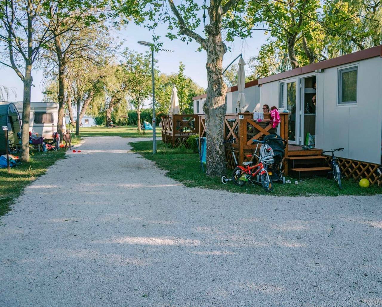 Badacsony Camping in Badacsonytomaj, Balaton Region