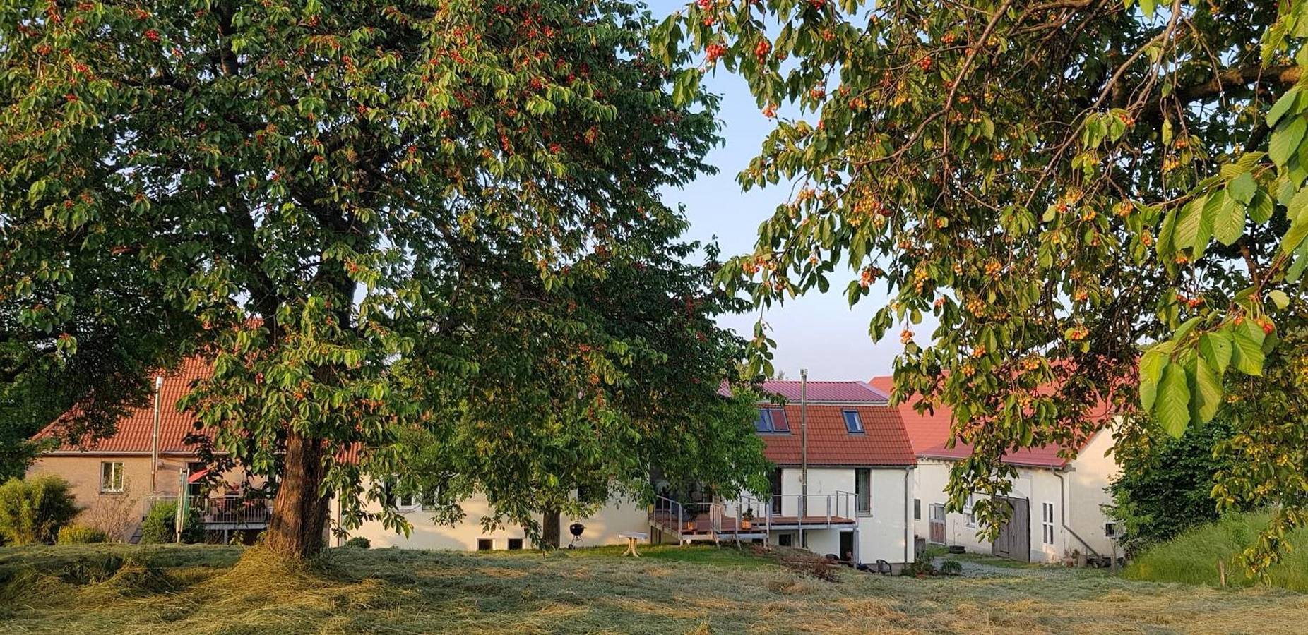 Ganze Wohnung, Gut Belgerhof Steinbach Ferienwohnung in Reinsberg, Chemnitz und Umgebung