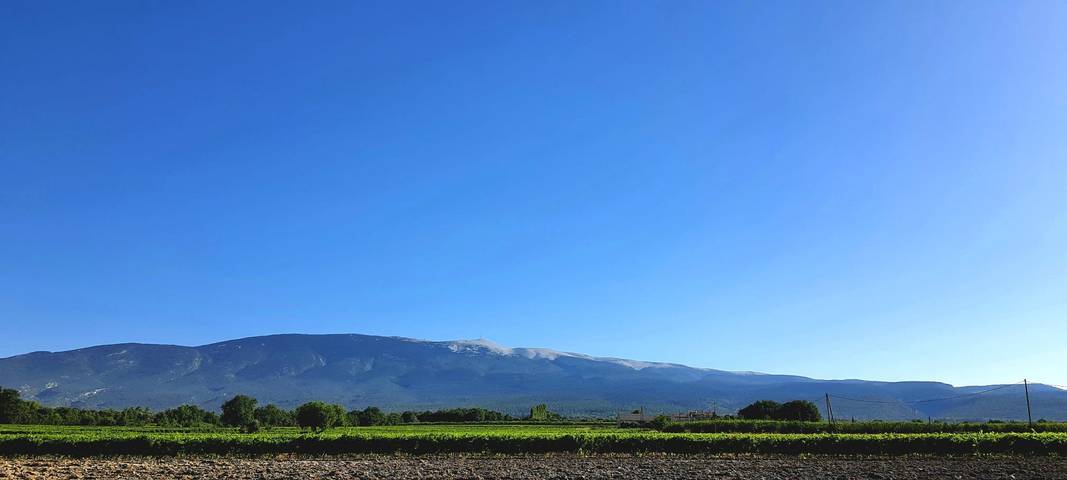 Gîte pour 4 personnes, avec jardin et terrasse, animaux acceptés à Bédoin - 3