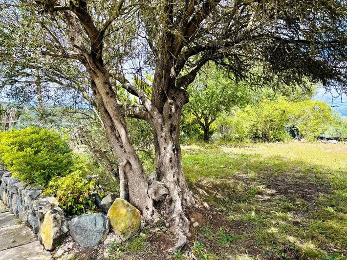 Casa rural para 6 personas, con jardín además de piscina y vistas, Familias con niños en Gran Canaria - 2