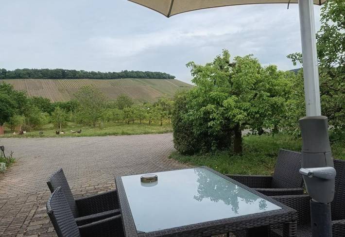 Ferienhaus für 2 Personen, mit Terrasse und Garten sowie Ausblick in Ayl - 3