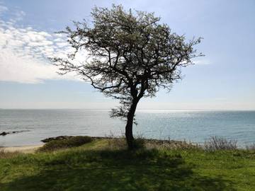 Vakantiehuis voor 6 Personen in Juelsminde, Little Belt, Afbeelding 4