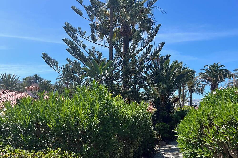 Exkl. Bungalow im Sunclub Maspalomas–renoviert, nachhaltig & voller Privatsph. in Maspalomas, San Bartolomé de Tirajana
