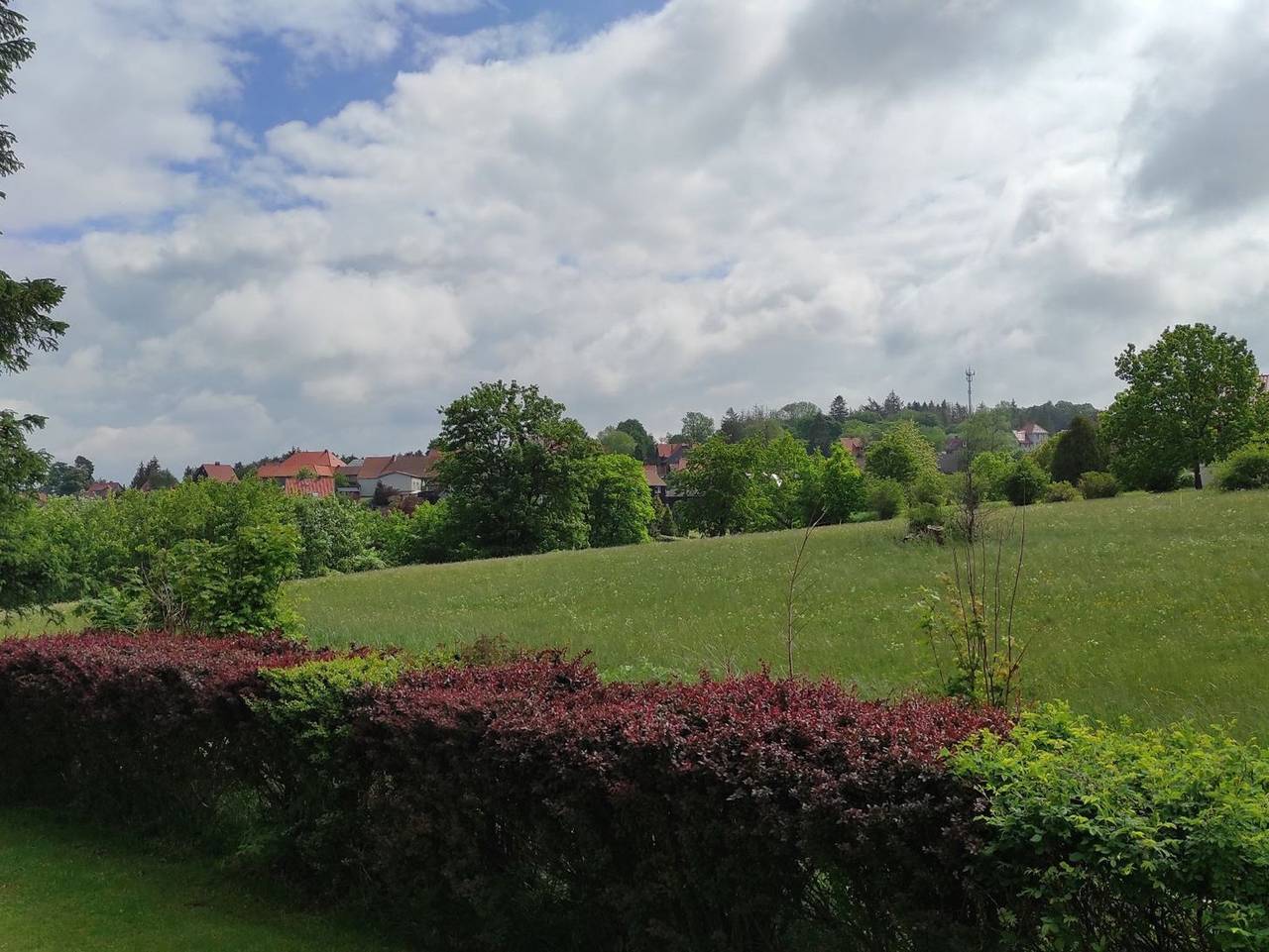 Ganze Ferienwohnung, Fewo Harzer Wiesenblick in Hohegeiß, Sauna, bis 2 Hunde wil - Fewo Harzer Wiesenblick in Hohegeiß, Harzvorland