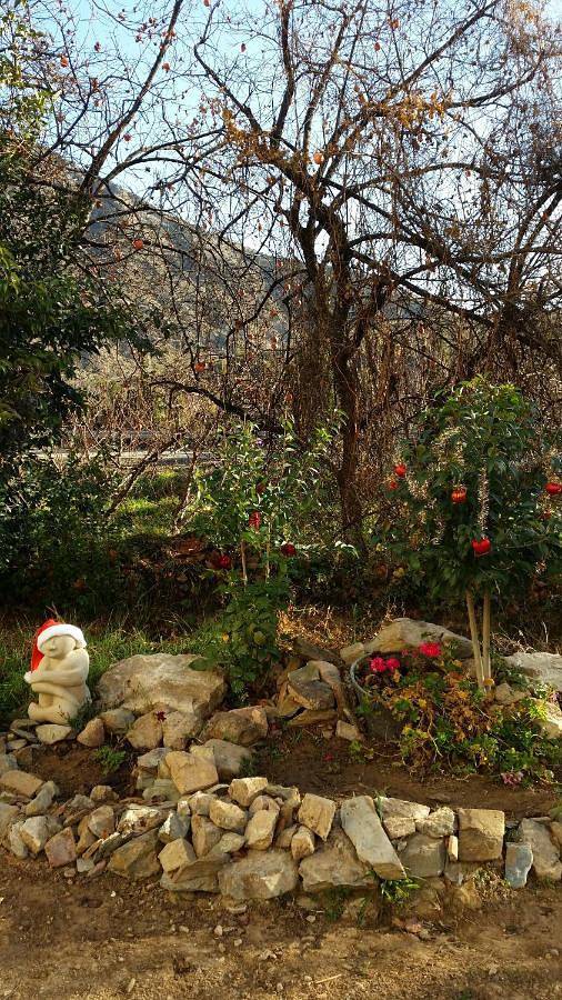 Casa rural para 11 personas, con jardín además de vistas y piscina, Se admiten mascotas en Comunidad de Calatayud - 2